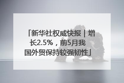 新华社权威快报｜增长2.5%，前5月我国外贸保持较强韧性
