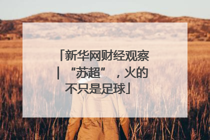 新华网财经观察｜“苏超”，火的不只是足球