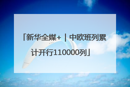新华全媒+｜中欧班列累计开行110000列