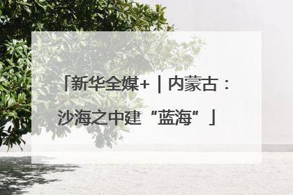 新华全媒+｜内蒙古：沙海之中建“蓝海”