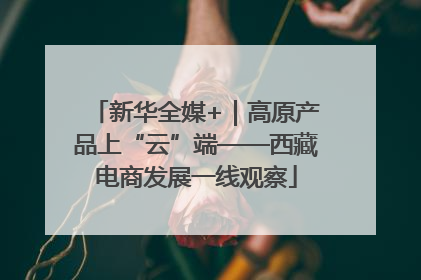 新华全媒+｜高原产品上“云”端——西藏电商发展一线观察