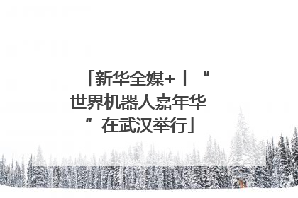 新华全媒+丨“世界机器人嘉年华”在武汉举行