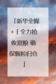 新华全媒+丨全力抢收夏粮 确保颗粒归仓