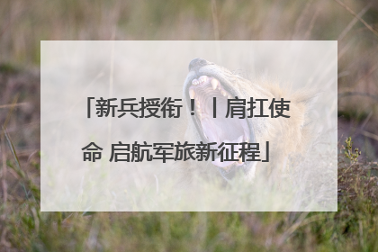 新兵授衔！丨肩扛使命 启航军旅新征程