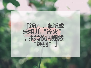 新剧：张新成宋祖儿“淬火”，张婧仪周翊然“焕羽”
