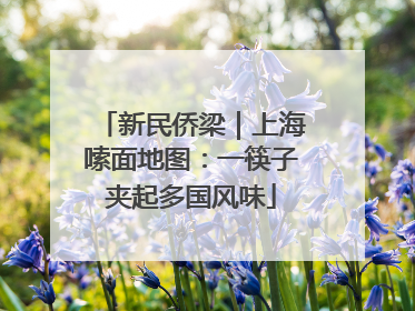 新民侨梁｜上海嗦面地图：一筷子夹起多国风味