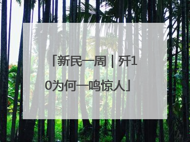 新民一周｜歼10为何一鸣惊人
