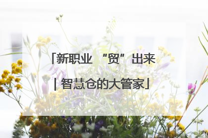 新职业 “贸”出来｜智慧仓的大管家