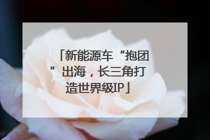新能源车“抱团”出海，长三角打造世界级IP