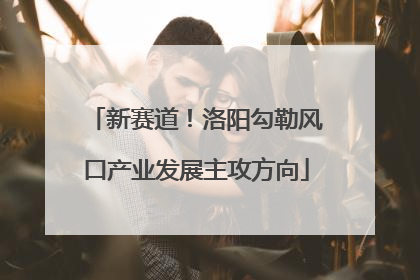 新赛道！洛阳勾勒风口产业发展主攻方向