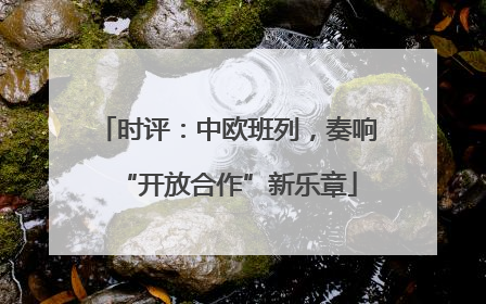 时评：中欧班列，奏响“开放合作”新乐章
