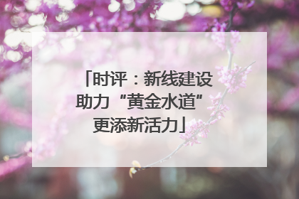 时评：新线建设助力“黄金水道”更添新活力