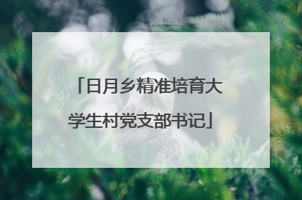 日月乡精准培育大学生村党支部书记