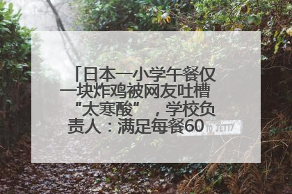 日本一小学午餐仅一块炸鸡被网友吐槽“太寒酸”，学校负责人：满足每餐600千卡的标准