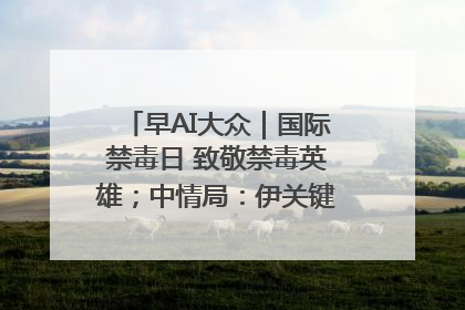 早AI大众｜国际禁毒日 致敬禁毒英雄；中情局：伊关键核设施被摧毁