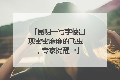昆明一写字楼出现密密麻麻的飞虫，专家提醒→