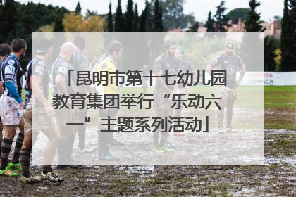 昆明市第十七幼儿园教育集团举行“乐动六一”主题系列活动