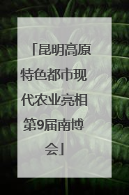 昆明高原特色都市现代农业亮相第9届南博会