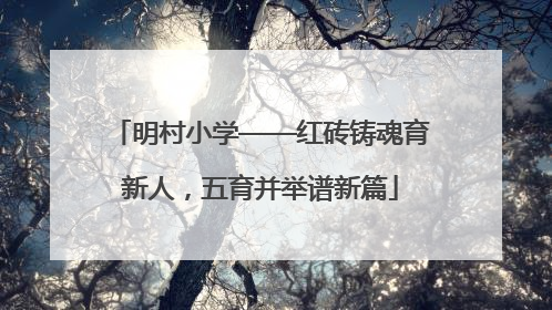 明村小学——红砖铸魂育新人，五育并举谱新篇