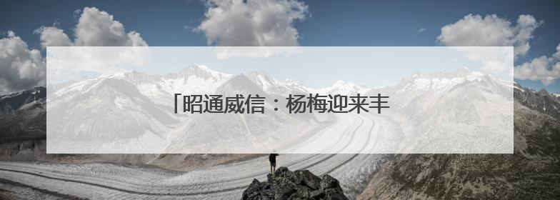昭通威信：杨梅迎来丰收季 助农增收采摘忙