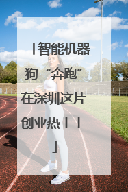 智能机器狗“奔跑”在深圳这片创业热土上