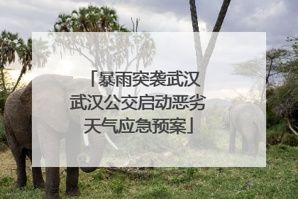 暴雨突袭武汉 武汉公交启动恶劣天气应急预案