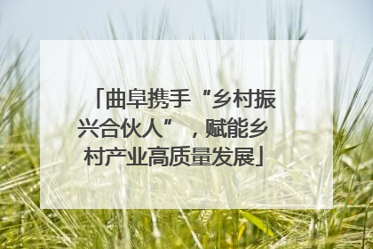 曲阜携手“乡村振兴合伙人”，赋能乡村产业高质量发展