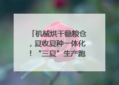 机械烘干稳粮仓，夏收夏种一体化！“三夏”生产跑出加速度｜麦报