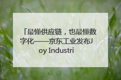 最懂供应链，也最懂数字化——京东工业发布Joy Industrial 重塑工业未来
