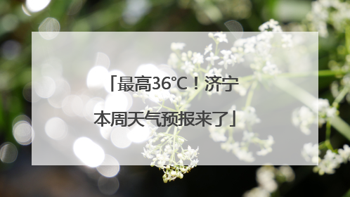 最高36℃！济宁本周天气预报来了