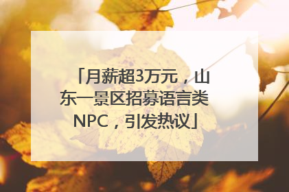 月薪超3万元，山东一景区招募语言类NPC，引发热议