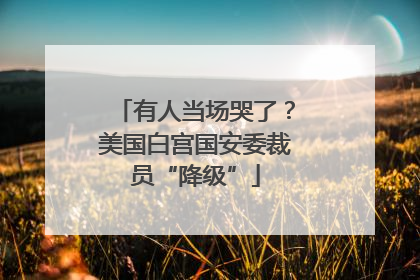 有人当场哭了？美国白宫国安委裁员“降级”