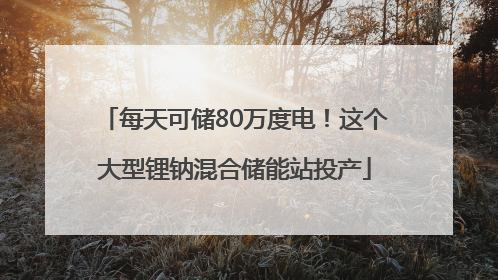 每天可储80万度电！这个大型锂钠混合储能站投产