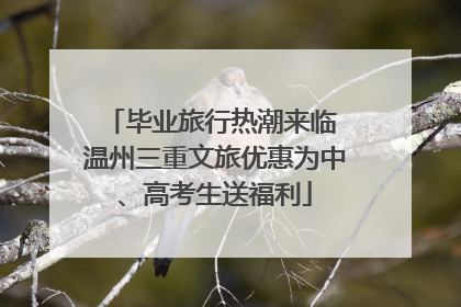 毕业旅行热潮来临 温州三重文旅优惠为中、高考生送福利