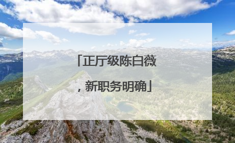 正厅级陈白薇，新职务明确