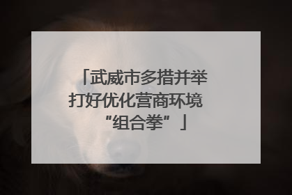 武威市多措并举打好优化营商环境“组合拳”