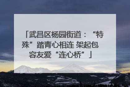武昌区杨园街道：“特殊”踏青心相连 架起包容友爱“连心桥”