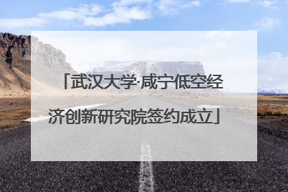 武汉大学·咸宁低空经济创新研究院签约成立