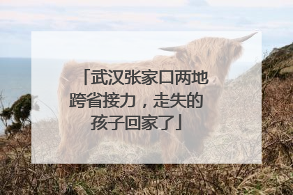 武汉张家口两地跨省接力，走失的孩子回家了