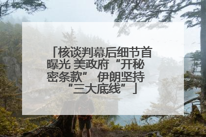 核谈判幕后细节首曝光 美政府“开秘密条款” 伊朗坚持“三大底线”