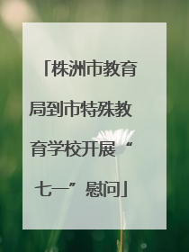 株洲市教育局到市特殊教育学校开展“七一”慰问