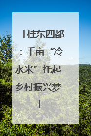 桂东四都：千亩“冷水米”托起乡村振兴梦