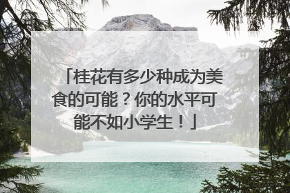 桂花有多少种成为美食的可能？你的水平可能不如小学生！