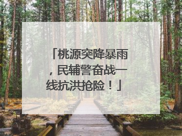 桃源突降暴雨，民辅警奋战一线抗洪抢险！