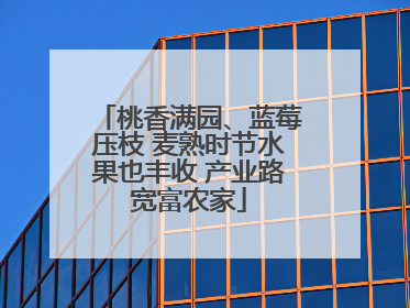 桃香满园、蓝莓压枝 麦熟时节水果也丰收 产业路宽富农家