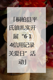 桐柏县平氏镇扎实开展“6·14信用记录关爱日”活动