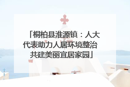 桐柏县淮源镇：人大代表助力人居环境整治 共建美丽宜居家园
