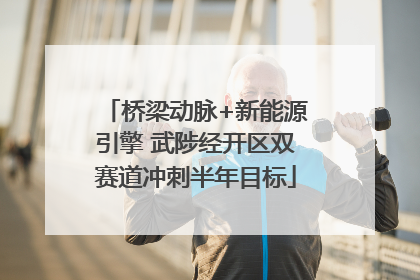 桥梁动脉+新能源引擎 武陟经开区双赛道冲刺半年目标