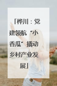 桦川：党建领航“小香瓜”撬动乡村产业发展