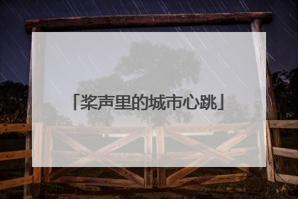 桨声里的城市心跳